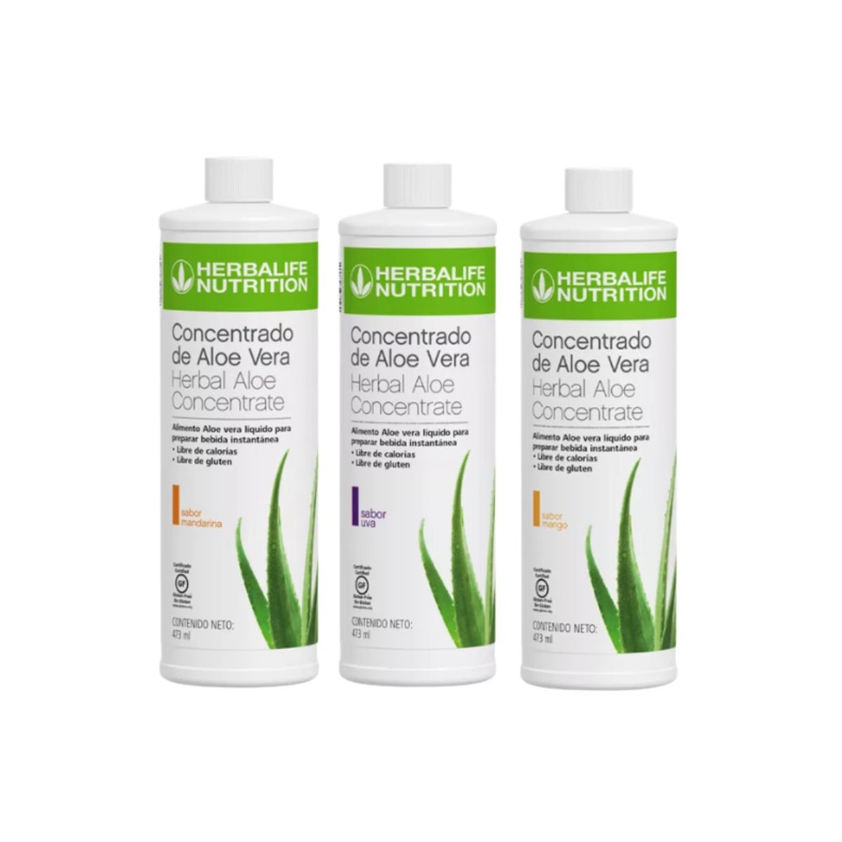 Aloe Vera Herbalife Chile precio 2026