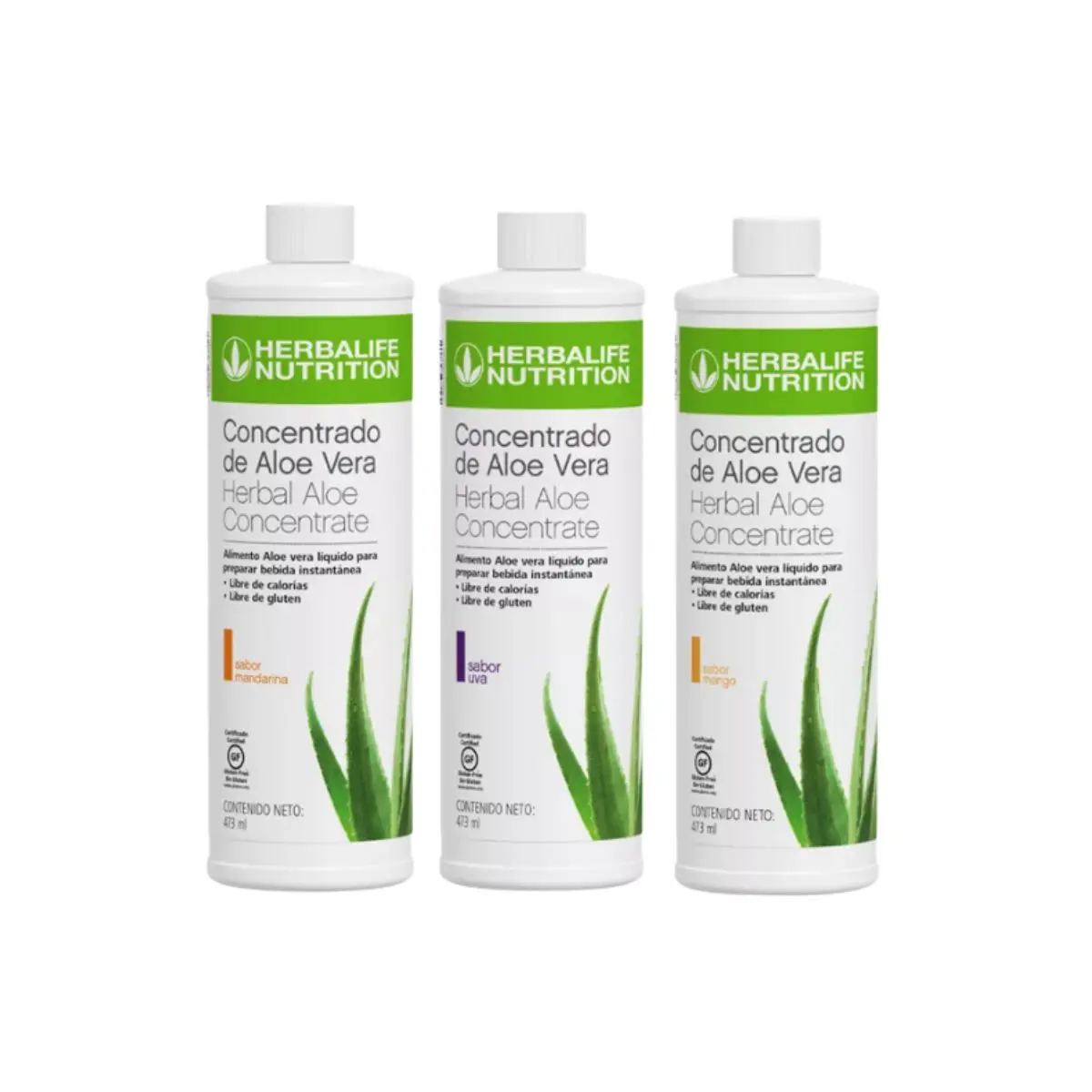 Aloe Vera Herbalife Chile precio 2026