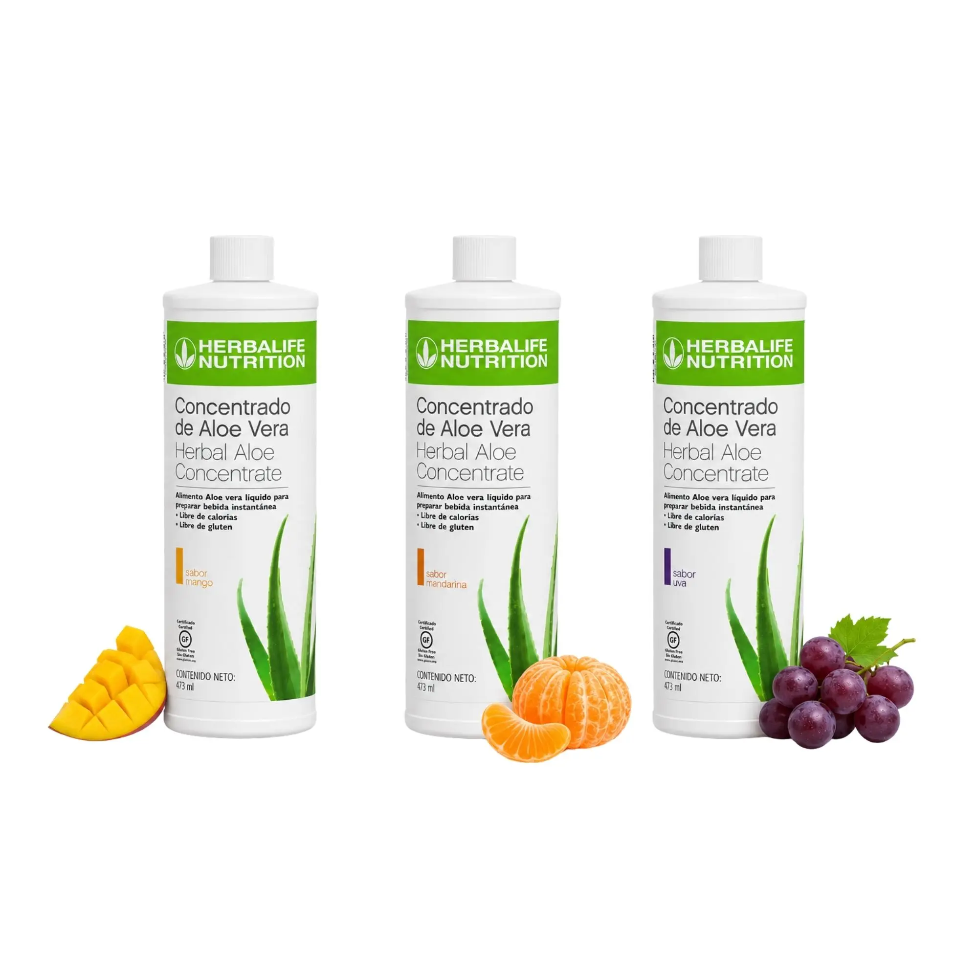 Aloe Concentrado Herbalife