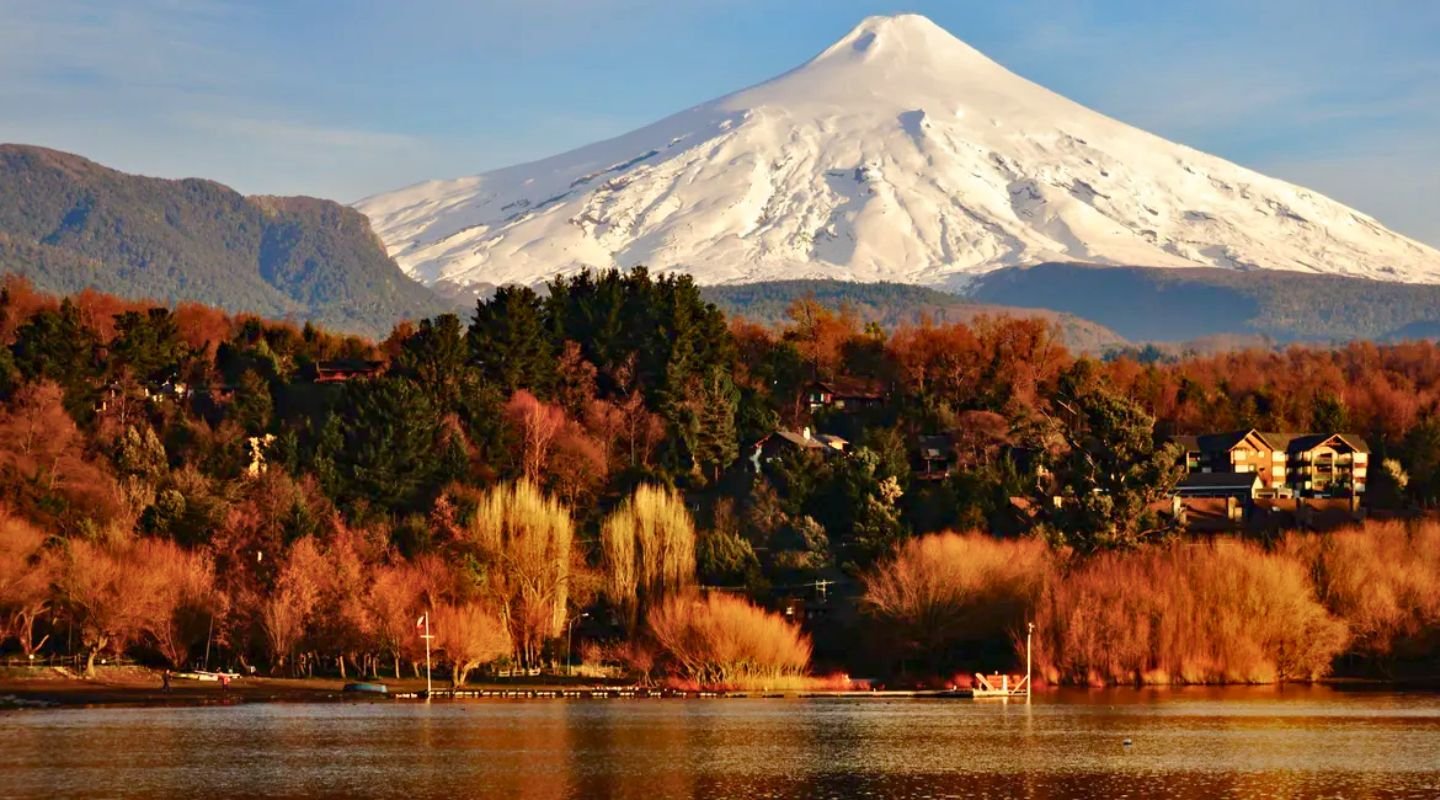 Comprar Herbalife en Temuco — distribuidora Pilar Solís Walker