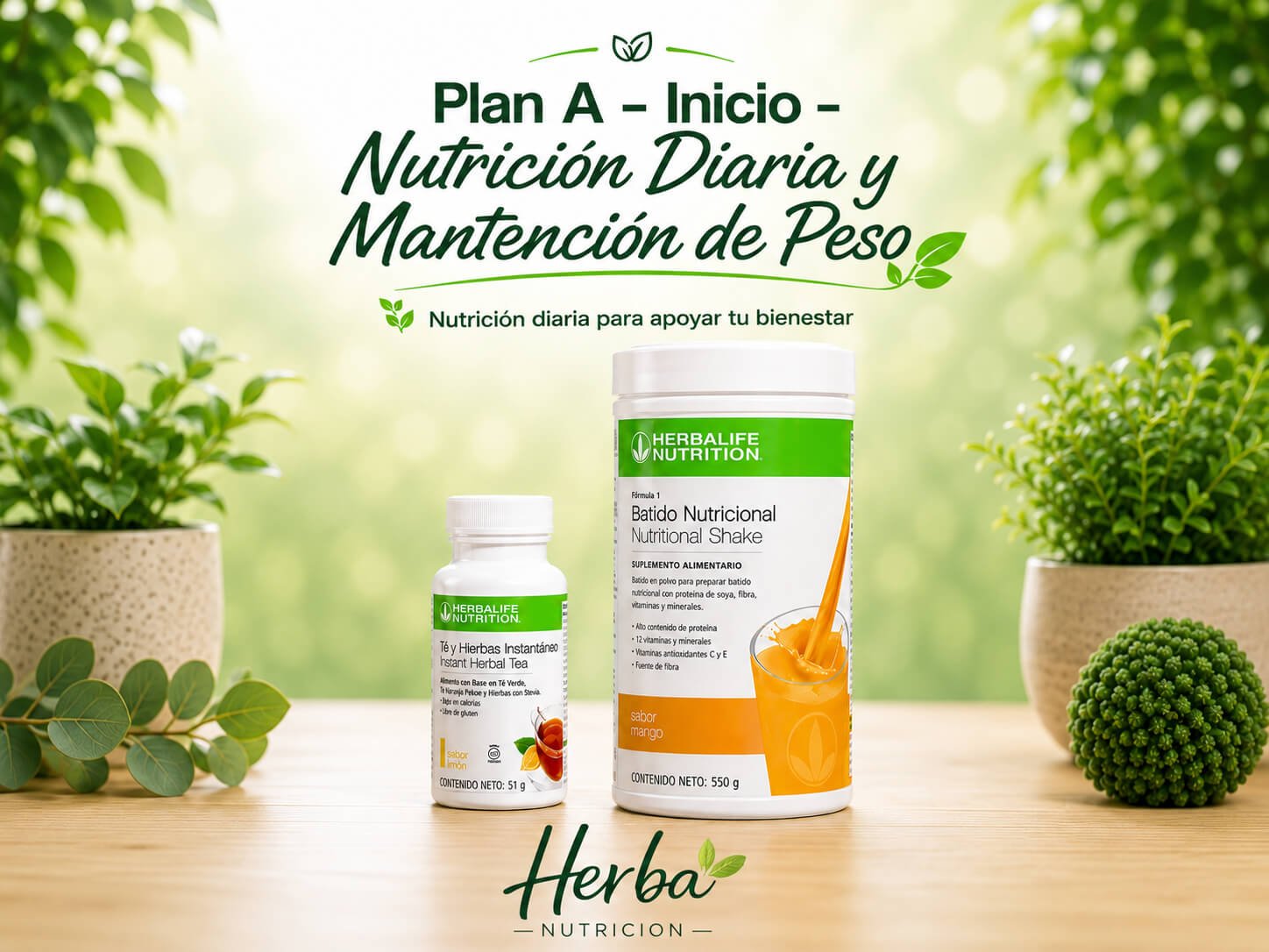 Plan A Inicio Nutrición Diaria Herbalife Chile